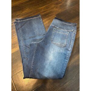 Belle Kim Gravel Size 16 Light Wash Jeggings 4 Pockets Pull On